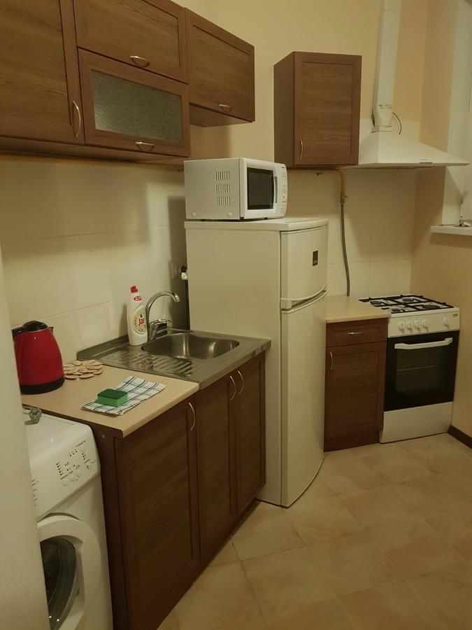 Апартаменты Простора квартира в історичному центрі Ужгород-10