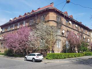 Апартаменты Простора квартира в історичному центрі Ужгород-1